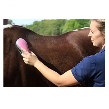 El kit de aseo para Caballos Oster®